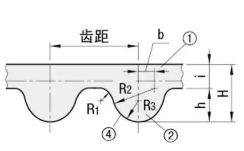 圓弧齒同步帶